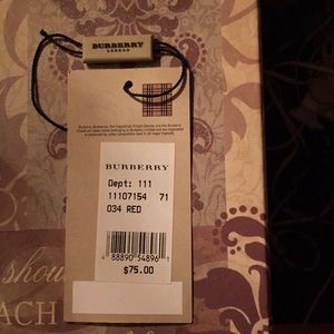 Burberry scarf